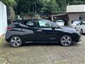 2021 Nissan Leaf