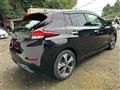 2021 Nissan Leaf