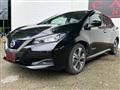 2021 Nissan Leaf