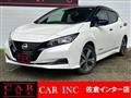 2021 Nissan Leaf