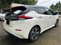 2021 Nissan Leaf