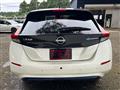 2021 Nissan Leaf