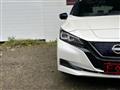 2021 Nissan Leaf