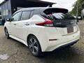 2021 Nissan Leaf