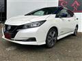 2021 Nissan Leaf