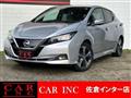 2019 Nissan Leaf