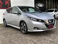 2019 Nissan Leaf