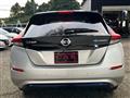 2019 Nissan Leaf