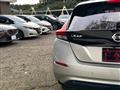 2019 Nissan Leaf