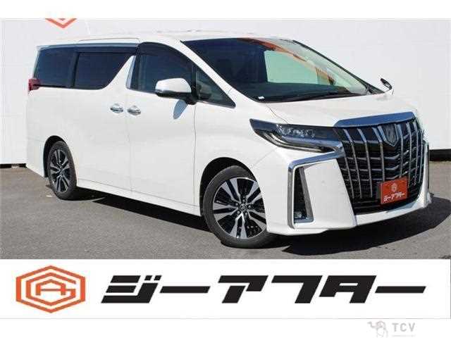 2019 Toyota Alphard G