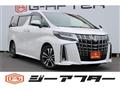 2019 Toyota Alphard G