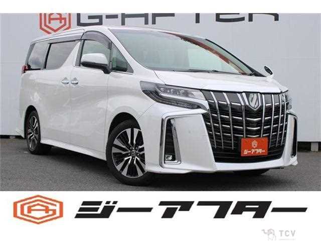2019 Toyota Alphard G
