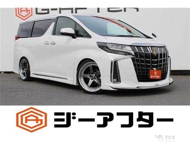 2020 Toyota Alphard G