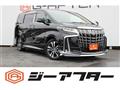 2019 Toyota Alphard G
