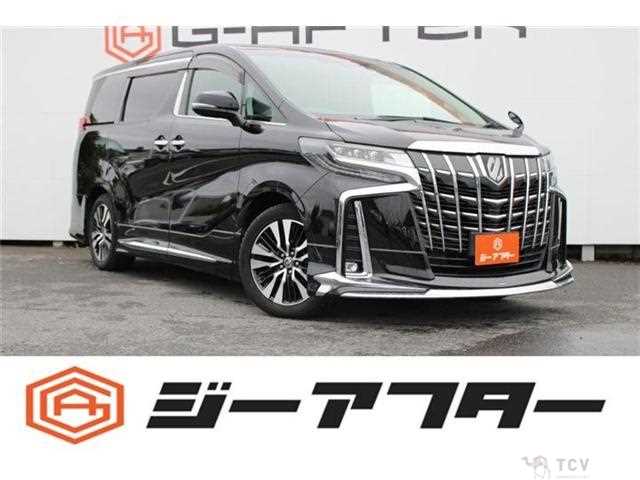 2019 Toyota Alphard G