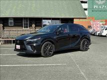 2024 Lexus RX