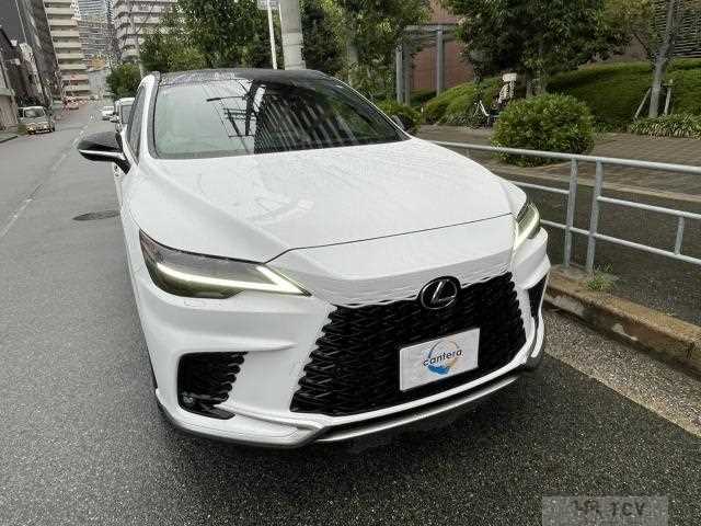 2025 Lexus RX