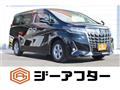 2019 Toyota Alphard G