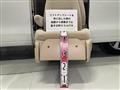 2013 Toyota Alphard G