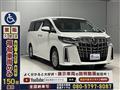2019 Toyota Alphard G