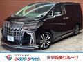2020 Toyota Alphard G