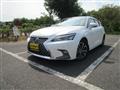 2019 Toyota Toyota Others