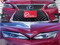 2019 Toyota Toyota Others