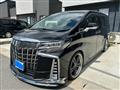 2019 Toyota Alphard G