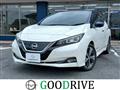 2018 Nissan Leaf