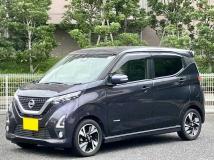 2019 Nissan Nissan Others