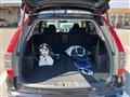 2007 Honda Stream