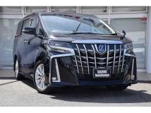 2019 Toyota Alphard G