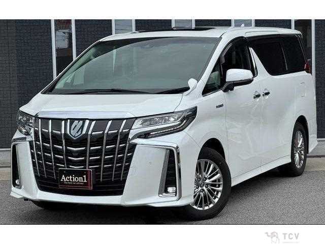 2019 Toyota Alphard Hybrid
