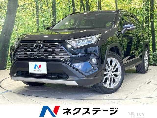 2020 Toyota RAV4