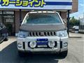 2009 Mitsubishi Delica D5