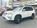 2013 Nissan X-Trail