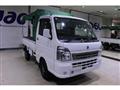 2021 Suzuki Carry Truck