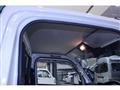 2021 Suzuki Carry Truck