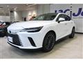 2025 Lexus RX