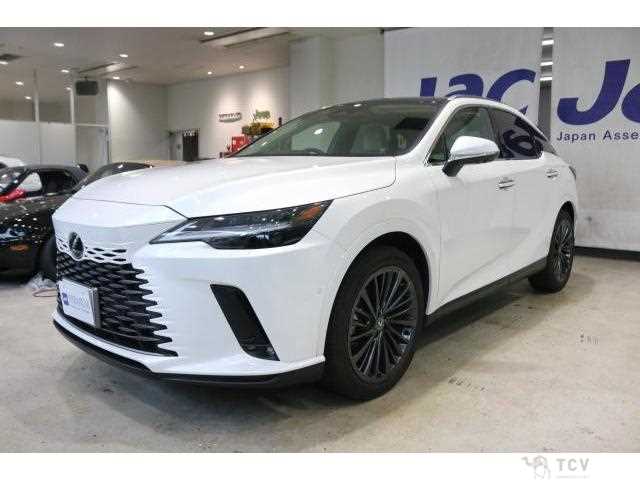 2025 Lexus RX