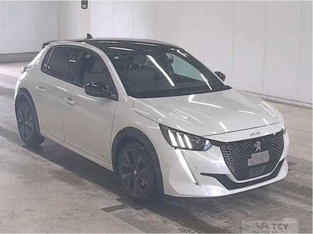 2021 Peugeot Peugoet Others