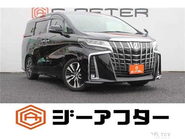 2019 Toyota Alphard G