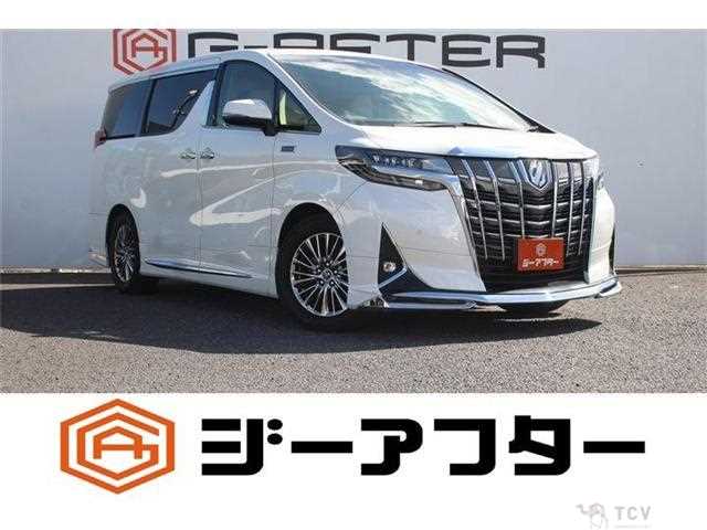 2019 Toyota Alphard G