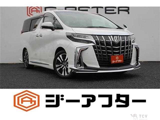 2018 Toyota Alphard G