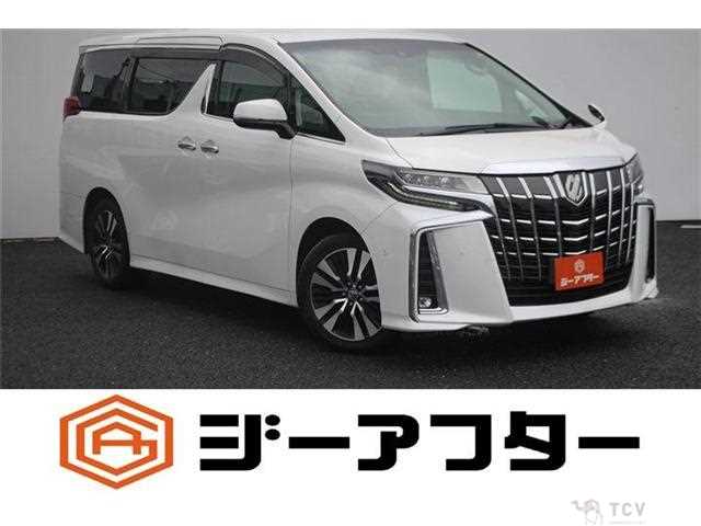 2018 Toyota Alphard G