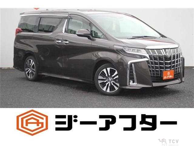 2020 Toyota Alphard G