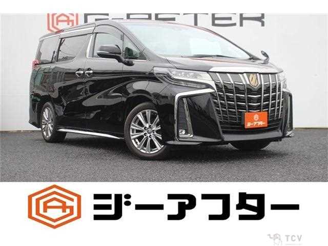 2020 Toyota Alphard G