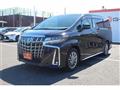 2019 Toyota Alphard Hybrid