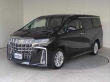 2019 Toyota Alphard G