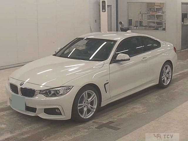 2015 BMW BMW Others